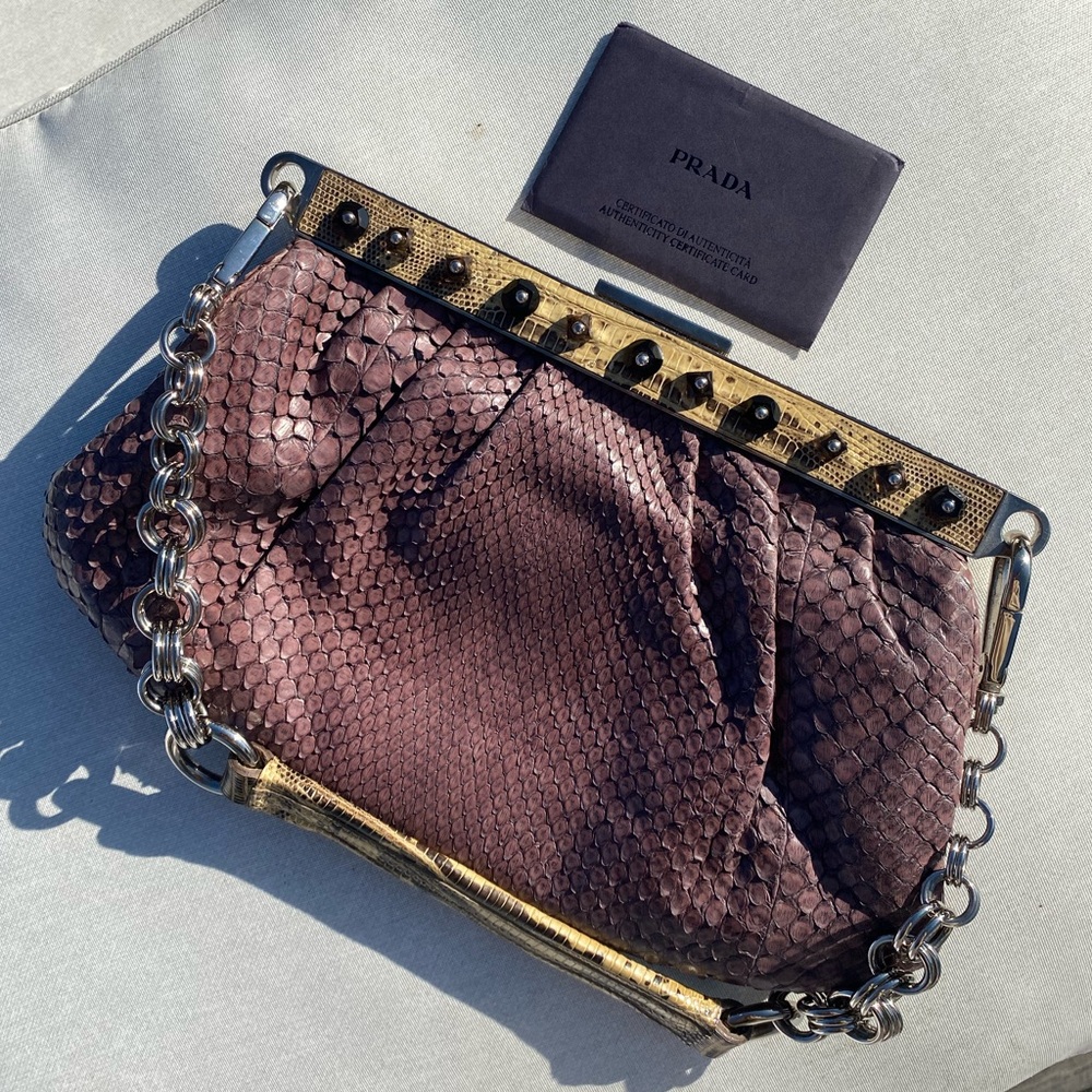 Prada Lucertola-Trimmed Pitone Snakeskin Frame Bag